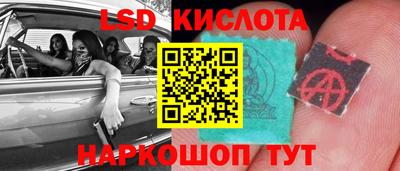 спиды Кудрово