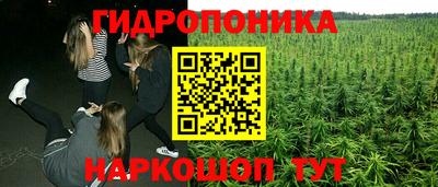 дживик Лесной