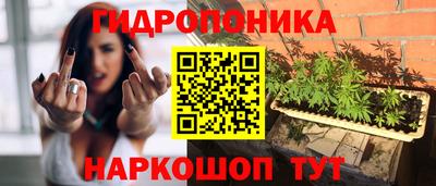 спиды Кудрово