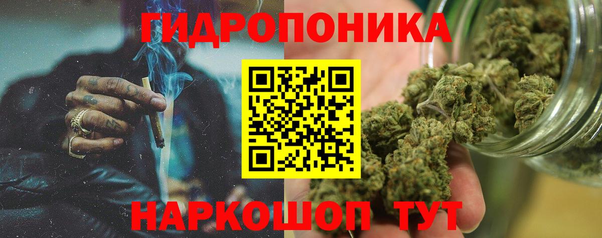 МАРИХУАНА конопля Саранск